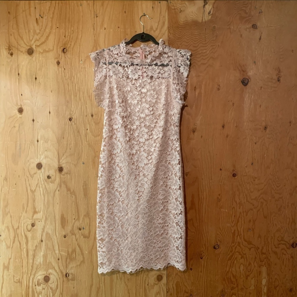 Enfocus Studio Blush Pink Lace Dress 10 - Picture 9 of 10